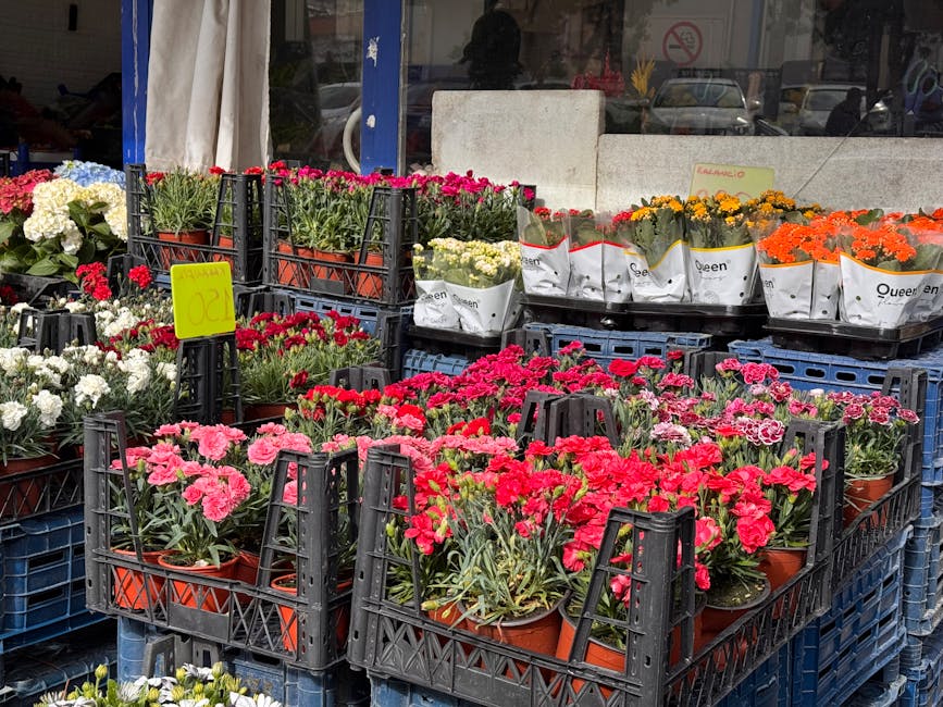 Outdoor display of potted flowering plants at a florist's shop, featuring various garden carnations in shades of pink, red, white, yellow, and orange, arranged in black plastic crates and wrapped in w